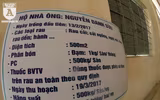 Có một nguồn cung rau an toàn dồi dào cho nội thành Hà Nội